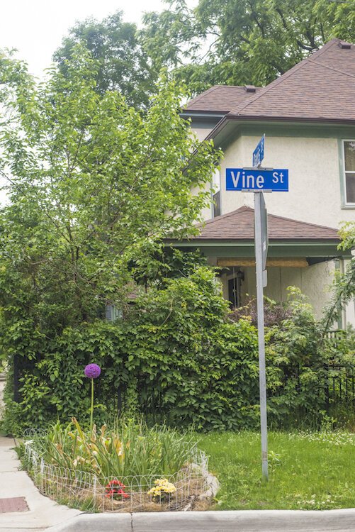 No. 7 Vine features a variety of fun shops, including a bookstore, vintage clothing and retro bicycle shop.
