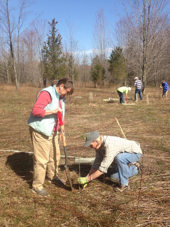 Southwest Michigan Land Conservancy and its partners will be planting over 40,000 trees, using species and creating forest habitats that can better adapt to climate change and invasive species.