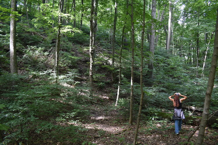 Walking up the Porter backdune.