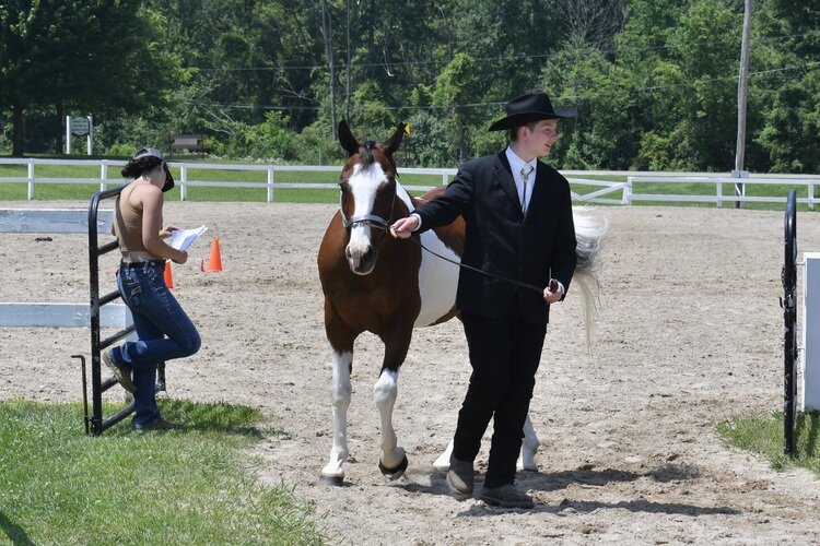 A boy gets ready to enter the show ring