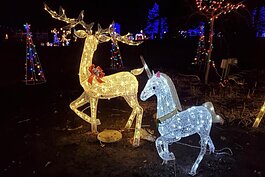 In Port Huron, the Parks and Recreation Department is putting on Winter Celebration in Pine Grove Park, running now through Sunday, Jan. 2.