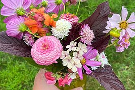 Bouquets featuring a variety of flowers such as Zinnias, Cosmos, Snap Dragons Tulips, Peonies, and Dahlias are available through Alonna's Blooms. 