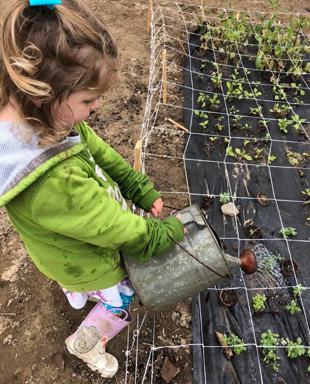 Alonna Hunt's daughter Lilly waters flowers.