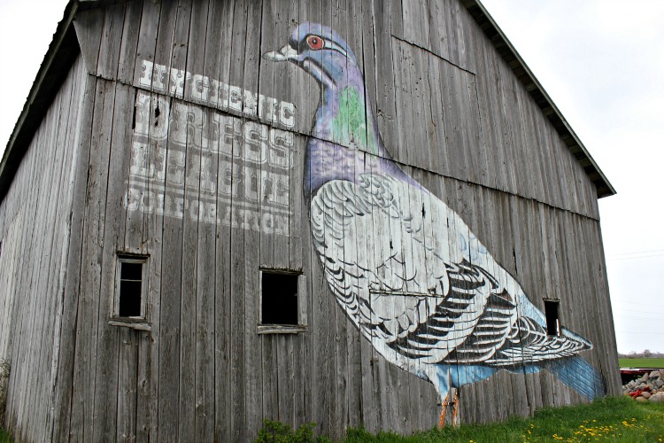 The Art Barn in Port Austin.