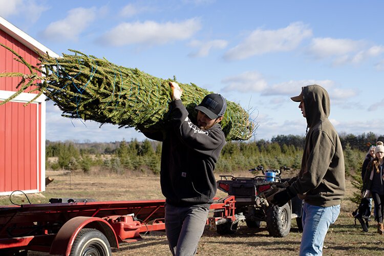 Mike Wendling's children and their friends help out during opening day at Centennial Pines Tree Farm.