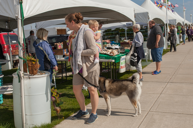 Shoppers explore all the offerings at the weekly farmer's market.