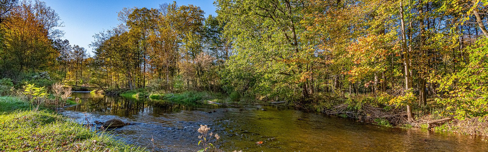 The North Branch of the Clinton River at Wolcott Mill Metropark.