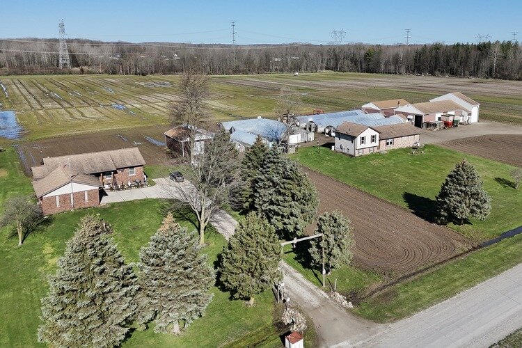 Overview of Griskie Farms in Goodells, Michigan.  