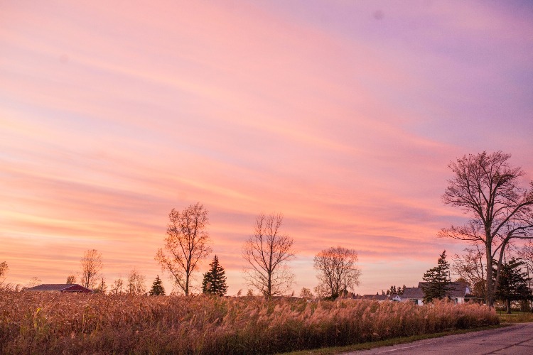 The trees aren't the only things giving off spectacular color this fall.