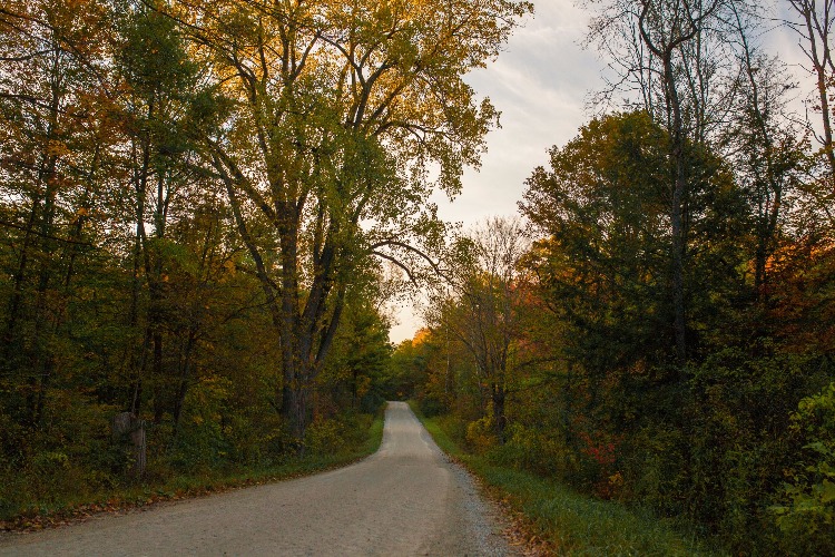 A brisk walk through the area will find a rainbow of fall color.