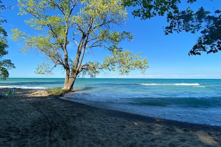 The view at Lakeport State Park.
