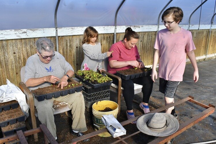 Laura Rzanca with her mother Barbara and Laura’s kids Luke and Zoe transplanting seedlings.