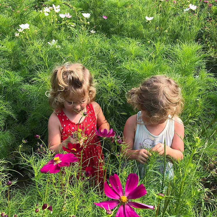 Alonna Hunt's daughters, Eve (left) and Lilly, explore in the flower garden of Alonna's Blooms.
