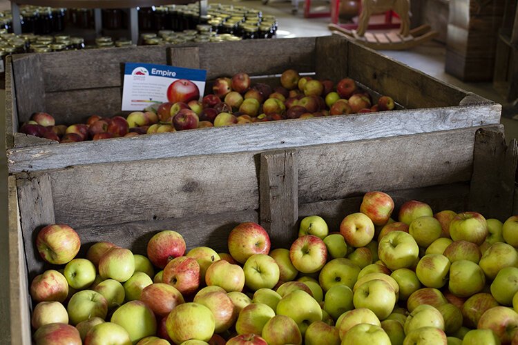 Over 60 varieties of apples are grown at McCallum's Orchard & Cider Mill.