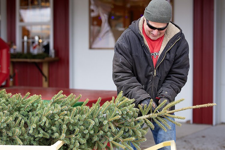 Pat Hunt helps shake and prepare trees at Shea Tree Farm for customers to take home.