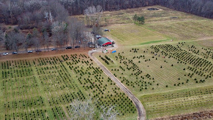 Shea Tree Farm is located at 6183 Shea Rd. in Marine City, Michigan.