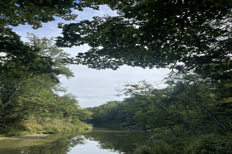 Woodsong County Park features a unique view from a vista at the bend of the Black River.