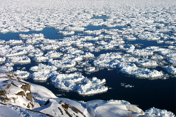 That water looks a tad bit chilly to us. 