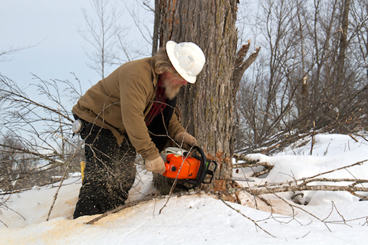 Jay Bierlein cutting down a tree. 