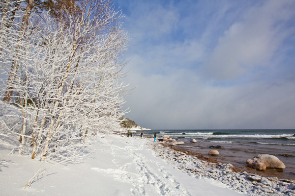 A view of Little Presque Isle after a recent snowfall. / Shawn Malone