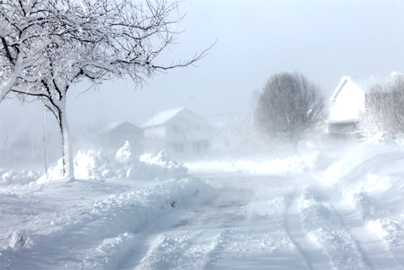 There is apparently a house in this blizzard photo. 