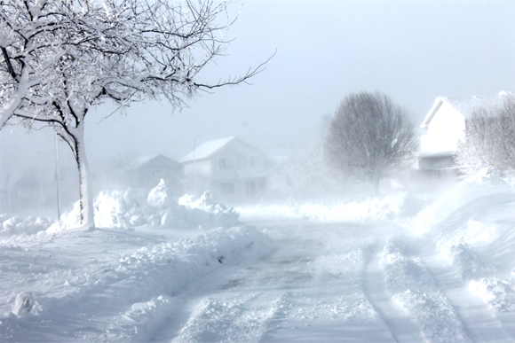 There is apparently a house in this blizzard photo. 