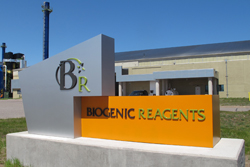 bigenic regents 