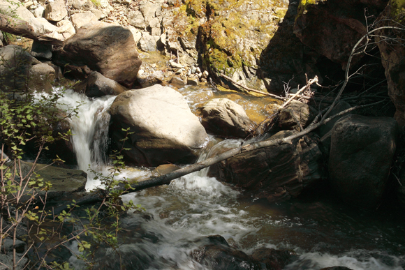 Nature -- such a beautiful sight! 