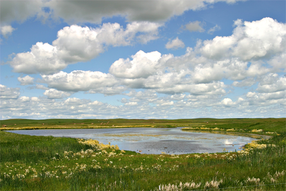 Conservation will help keep the U.P. beautiful. 