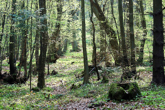 The state of Michigan is working on building its trail systems.