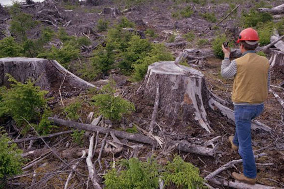 A biomass project in Canada.