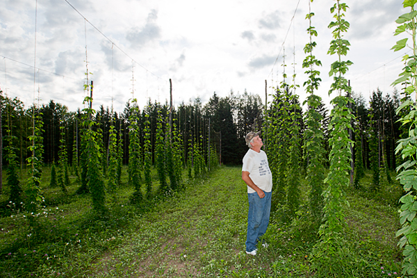 Jim Korpi of Korpi's Hop Farm