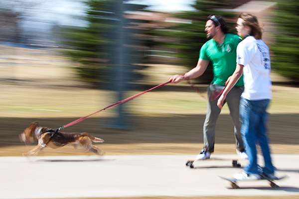 creative dog walking