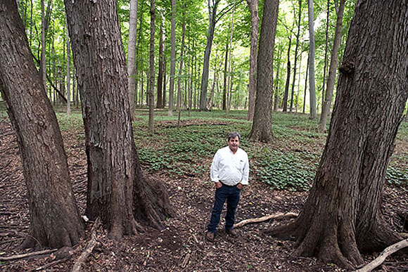 Scott Robbins stands among Michigan maples.