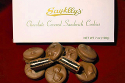 Saykllyst