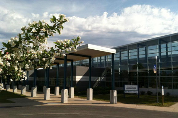 Bay makes digital technology hire