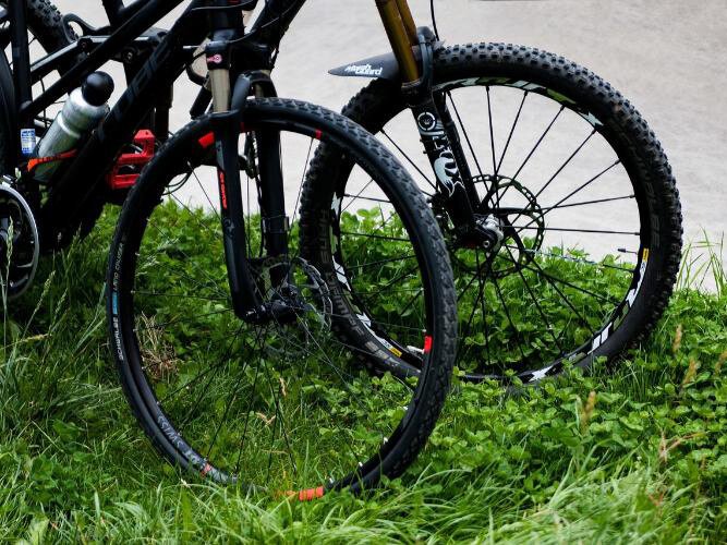 bikes