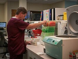 A technician at the Laboratory at MyMichigan Medical Center Sault works to process specimens.