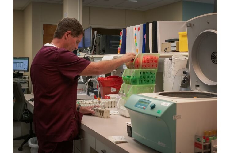 A technician at the Laboratory at MyMichigan Medical Center Sault works to process specimens.