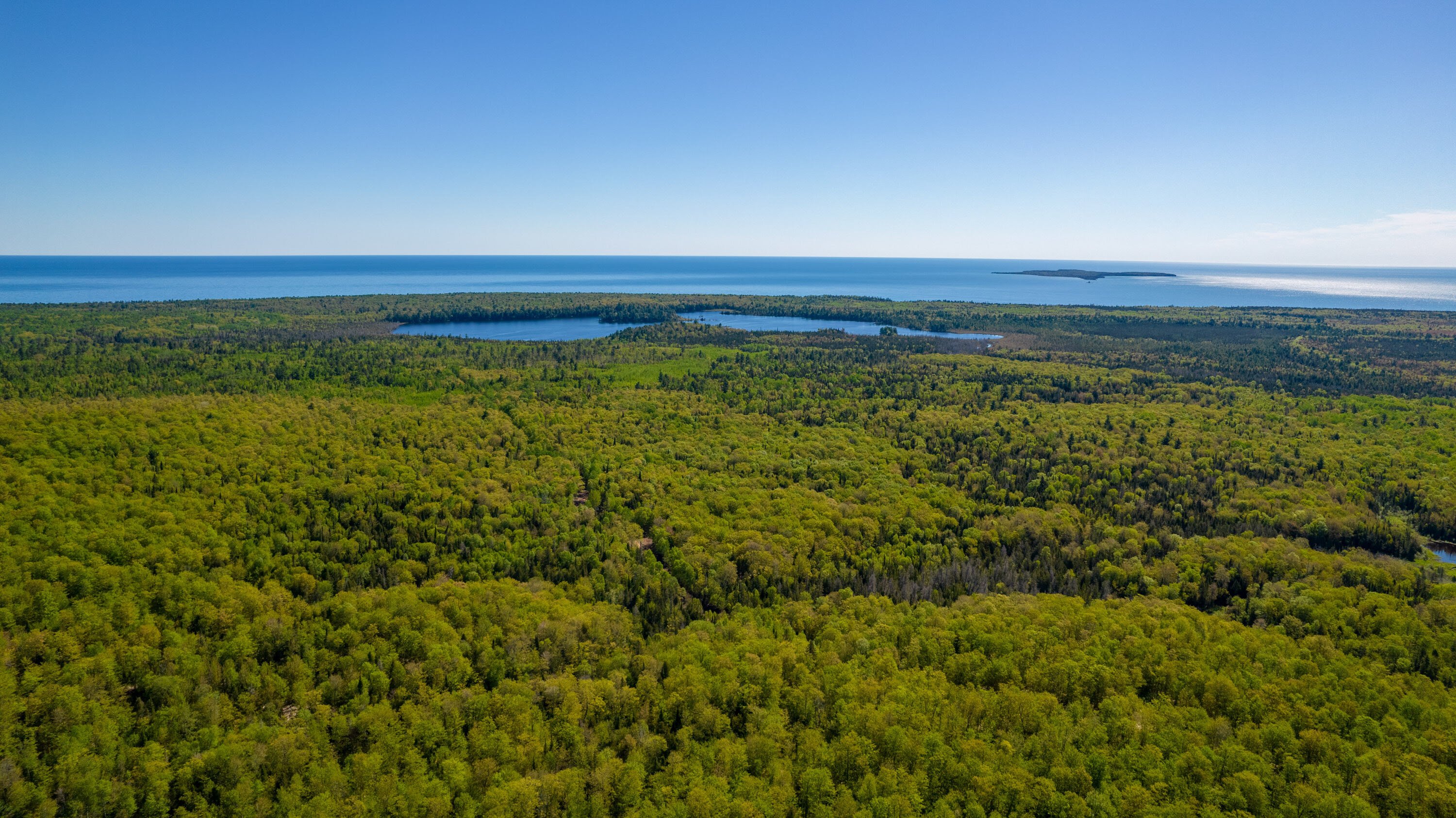 Land like this in Michigan’s Keweenaw Peninsula will be conserved after a massive sale. 