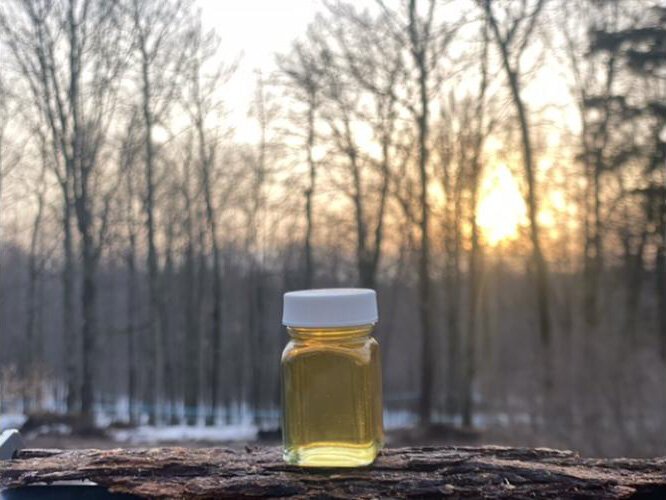 Maple syrup produced on the Willis Family Maple Farm in Iron River.