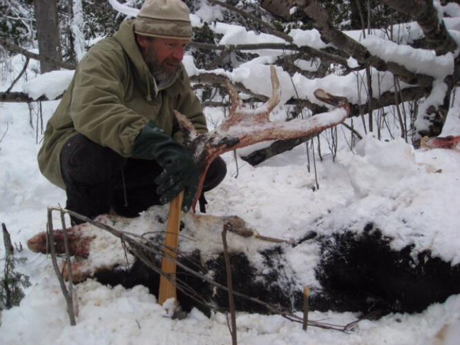 Rolf Peterson on the job at Isle Royale. He has led or co-led the wolf-moose study, the world's longest wildlife study, for decades.