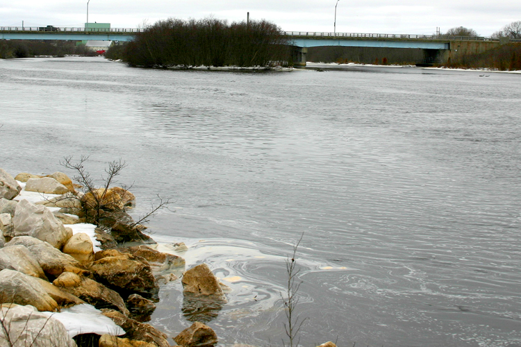 A view upstream from near the mouth of the Manistique River. 