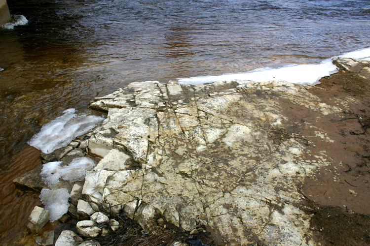 A view of one of the shorelines along the Manistique River. 