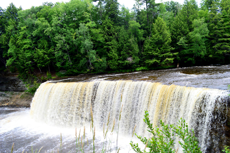 Hemlocks line the banks at Tahquamenon Falls in Michigan's Upper Peninsula.