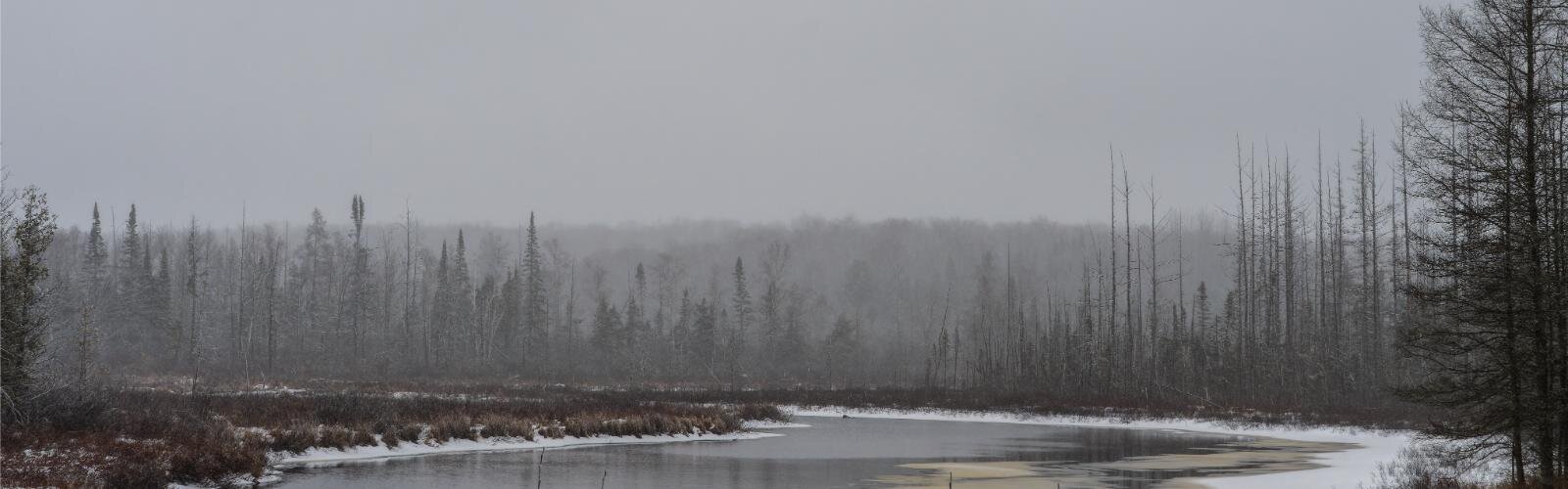 Van Riper State Park in Marquette County.